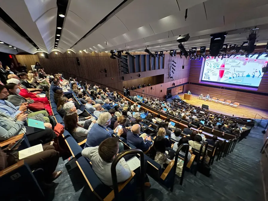 auditorium_icfsr26